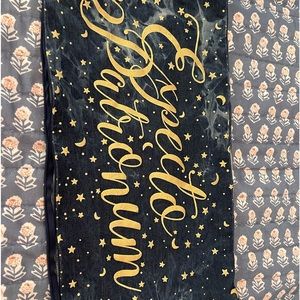 Pottery Barn Teen Harry Potter Pillow Cover. 12x24 cover.